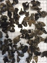 Dried black fungus/乾燥黒木耳/干黒木耳