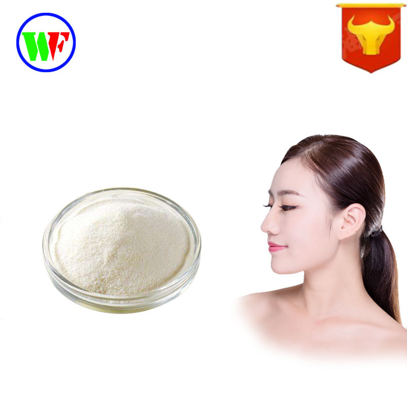 牛皮胶原蛋白肽 活性牛胶原蛋白多肽粉 1kg起订 小分子肽