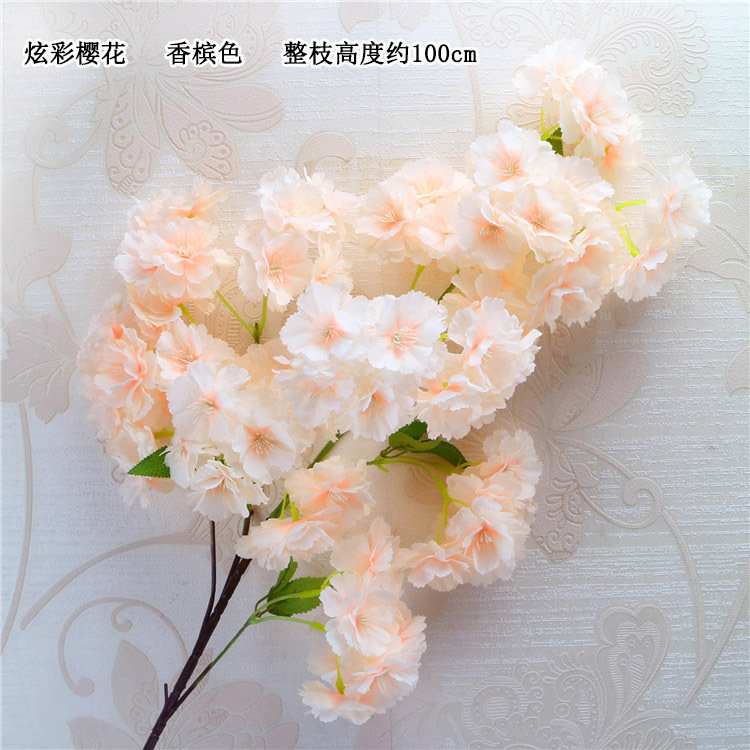 炫彩樱花 香槟色.jpg