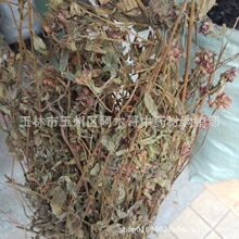 ����t ����� ����� ������ С���R ����t ��C�� ��Ʒ ��Ʒ