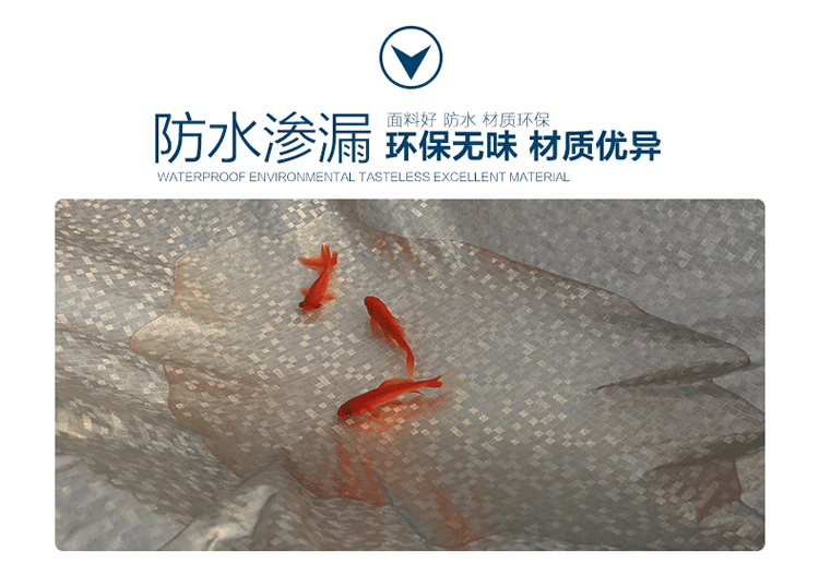 描述的019.gif