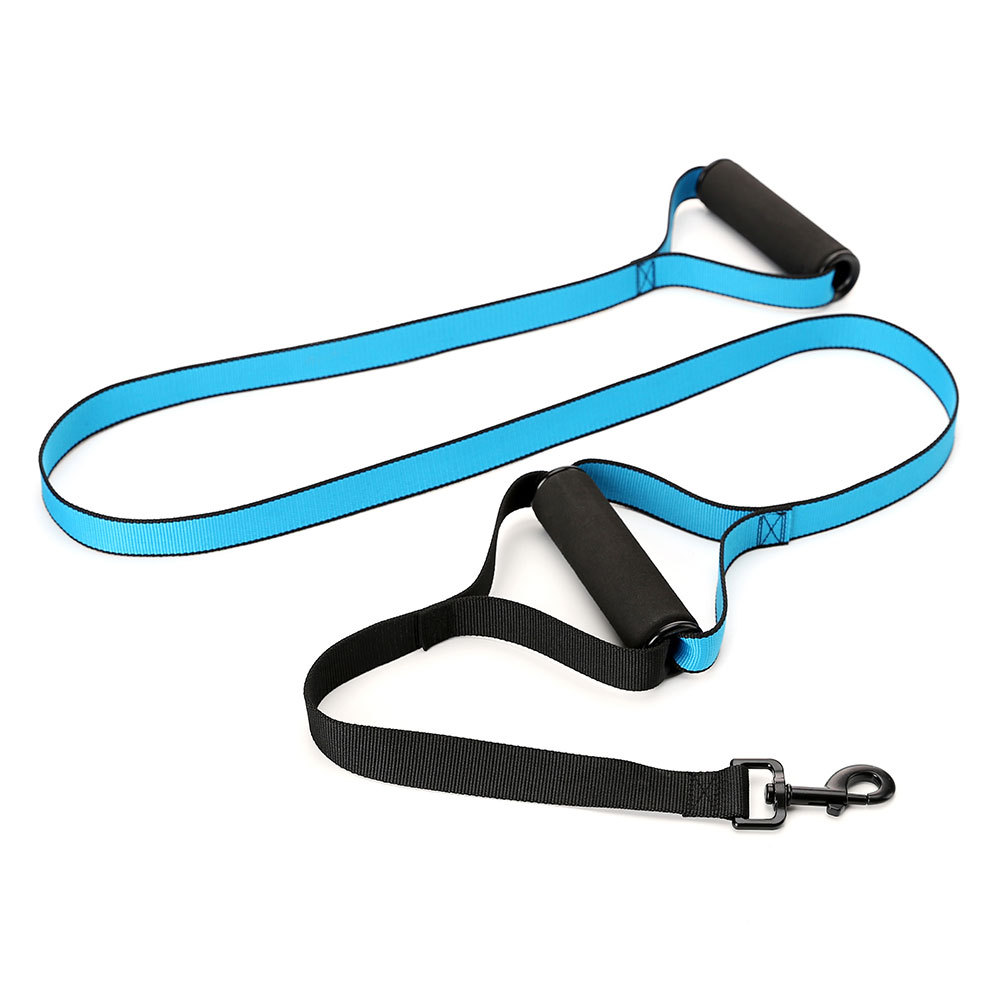 Dog Leash Image 3