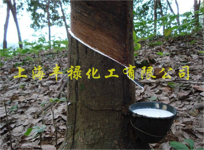 大量现货供应进口原装黄春发天然乳胶 泰国乳胶鞋用乳胶