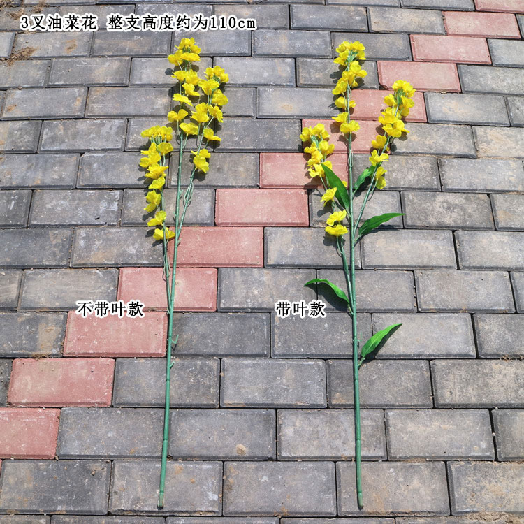 3叉油菜花 单支规格 对比图 宋体.jpg