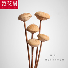 �F�z�U�޻��ɻ��ֹ����^ ���ѩ�ɹ� �b廨�������Ĕz�����Ʒ