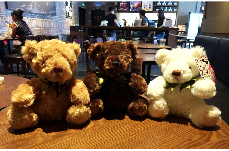 Rose Velvet Teddy Bear - White