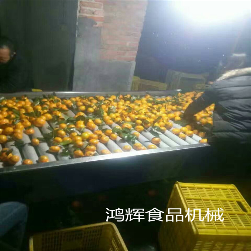 多功能清洗流水线 循环式海鲜气泡清洗机 蔬菜清洗烘干设备 现货