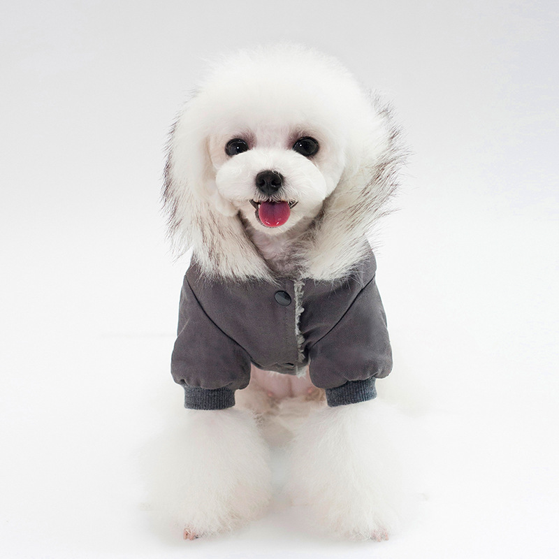 Cap for dog coat