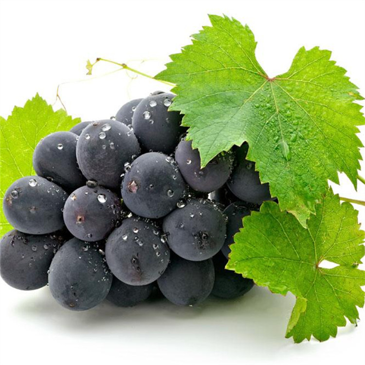 厂家直供免费拿样  葡萄酒/红酒香精   酒香日化香精