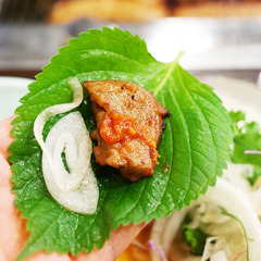 清淨園包飯醬500g 韓國蒜蓉辣醬韓式生菜蘸醬烤肉炸雞蘸醬