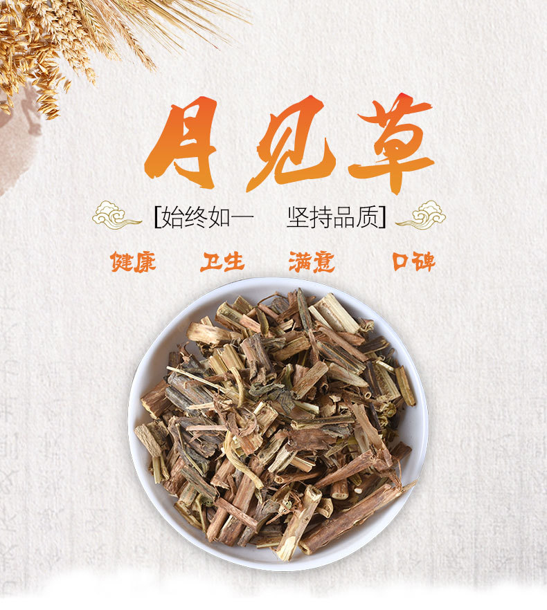 Yue Jian Cao (Oenothera biennis) — Dried Evening Primrose Herb, Food-Use Botanical overview