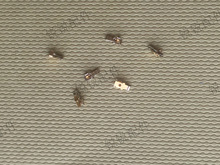 �쾀��Ƭ �B���� 3.5*1.5*1.4mm�֙C�쾀��Ƭ �����Ƭ 늳��|�c