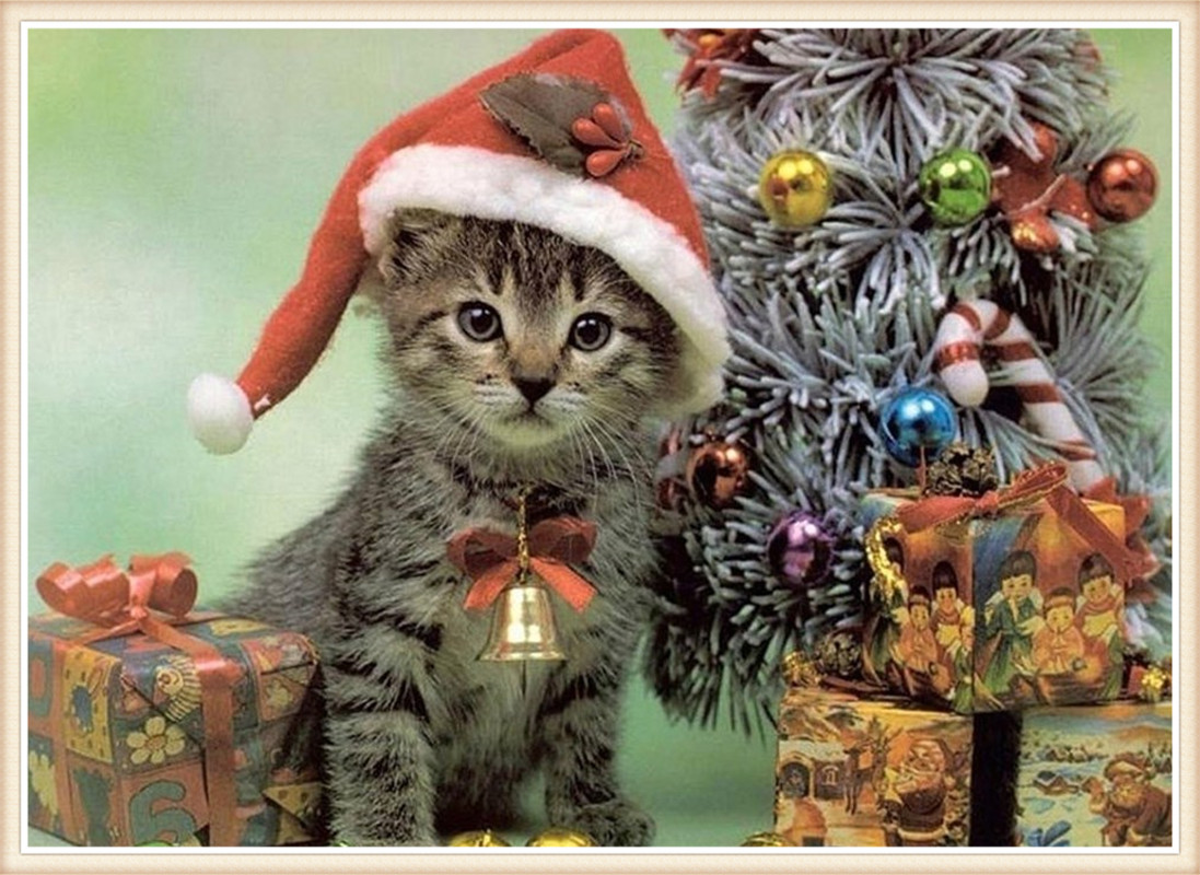 DW2189 圣诞猫咪 20x30.jpg