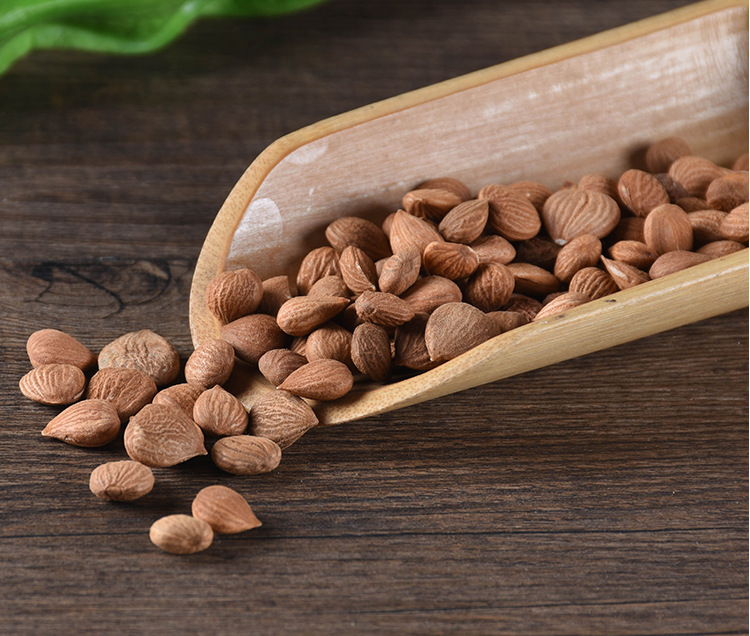 Apricot Kernels (Prunus armeniaca) — Dried Food-Herb Almond & Bitter Apricot Seed, Peeled, 500g quality and texture