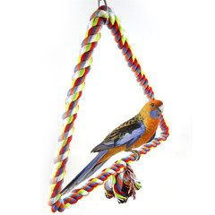 Colorful cotton rope bird perching and climbing beak grinding toy triangle cotton rope swing small large size