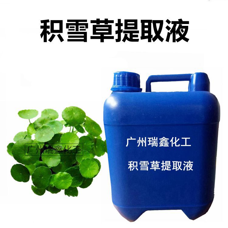 批发供应 雷公根 提取液 积雪草萃取液 积雪草提取液