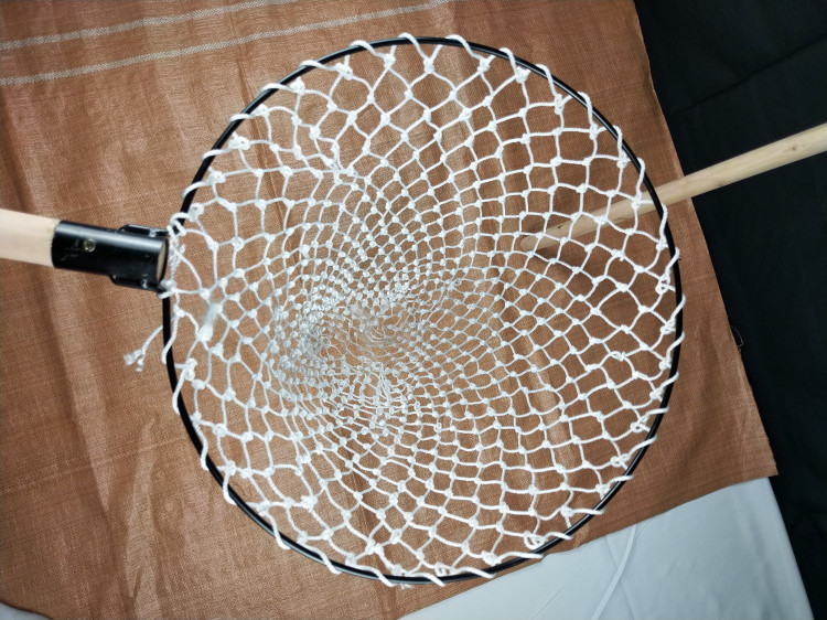 P81111-102120_副本