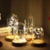 originality gift Spend eternity Glass Cover led Flos Lonicerae diy Luminous Lights Christmas Wedding celebration decorate
