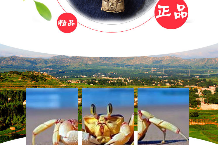Fang Hai (Crab Shell, 方海) — Dried TCM Shell Herb, Sulfur-Free, Grindable quality and texture