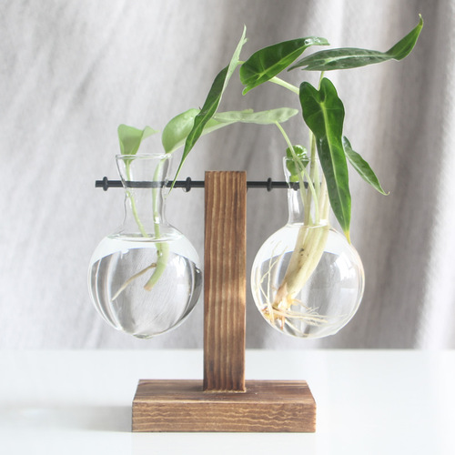 Creative wooden frame hydroponic vase green dill plant transparent glass flower arrangement container desktop ornaments home decoration supplies