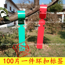 100Ƭһ�ш@�֘�ľ�h�ۿ��˺��r���m����n���ַ��ӛ���۵���