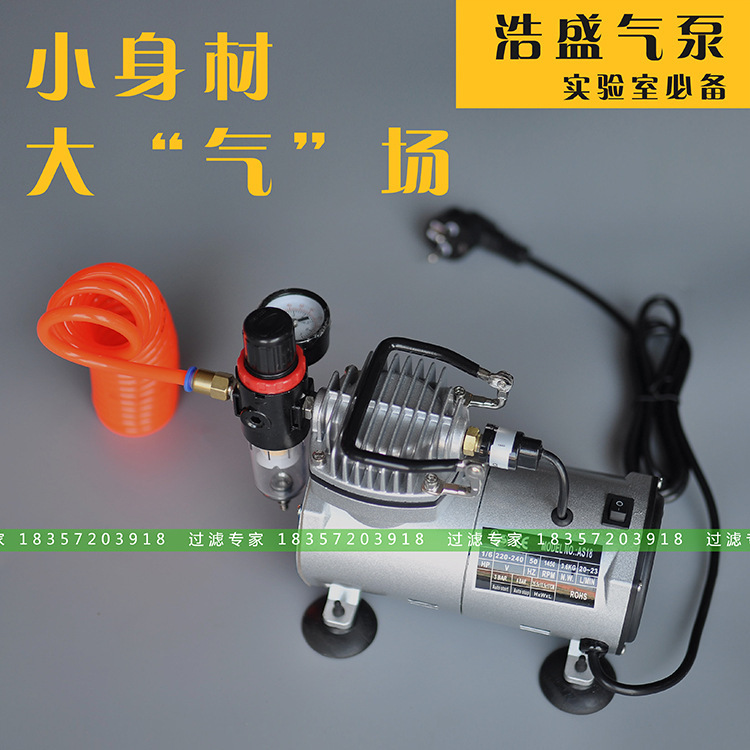 Haosheng AS18-2 automatic shutdown air pump laboratory filter pressurized small portable air compressor