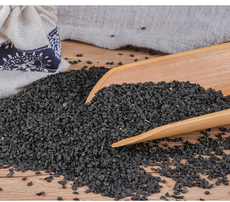 Cong Zi (Allium fistulosum) — Dried Welsh Onion Seeds, Food-Herb Botanical key features