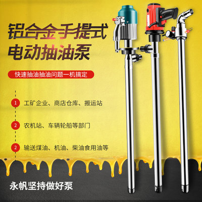 大功率220V手提式防爆小型不锈钢电动油泵油桶泵抽抽液抽油泵|ru
