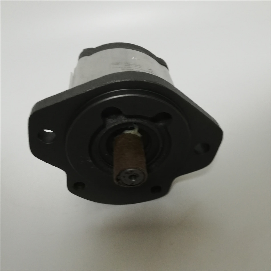 力士乐R983072899 AZPW-11-019RRR20PB-S0036