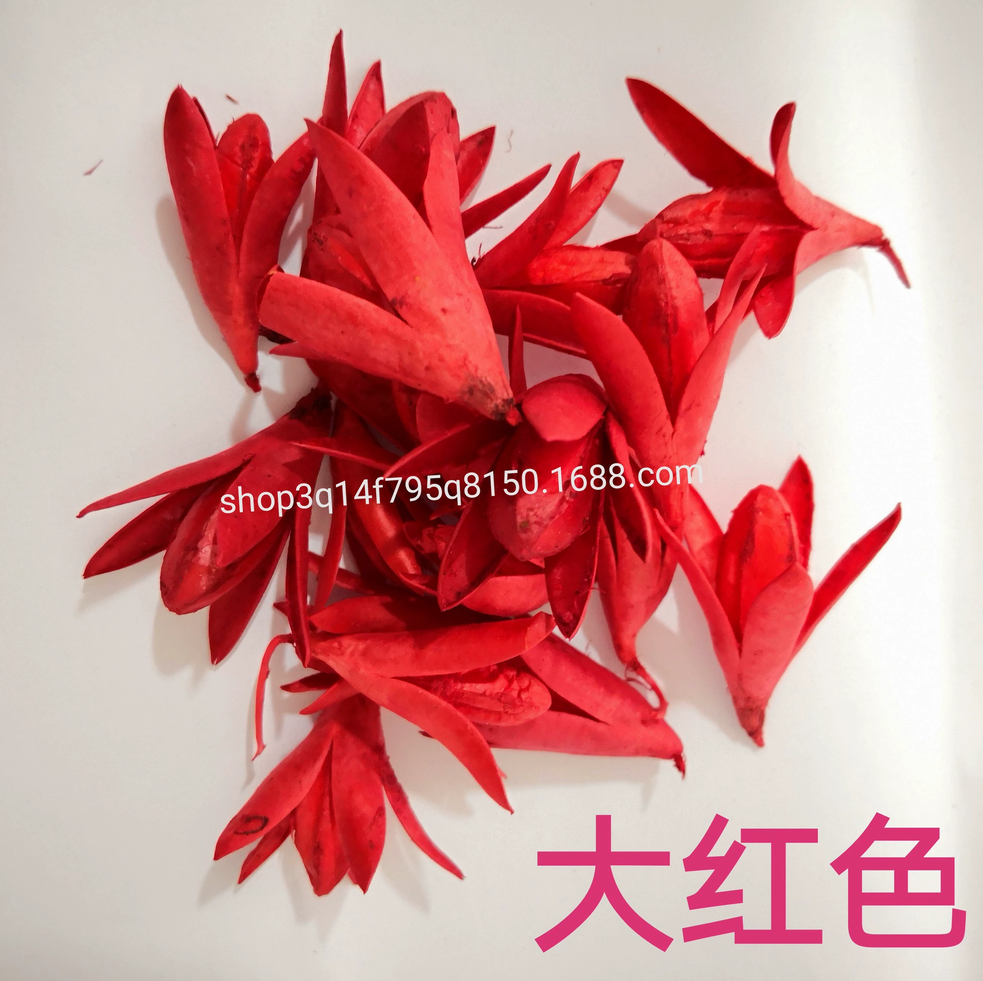 [Magnolia] Manufacturer supply naturally toon fruit shell Magnolia dried magnolia flower DIY handmade flower combination flower material