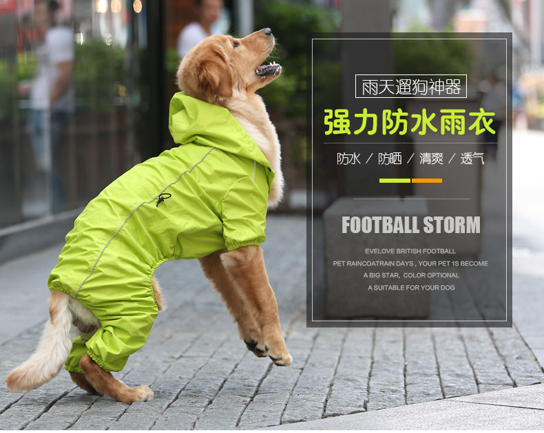 宠物窝背带牵引绳类外出用品 欢迎咨询
