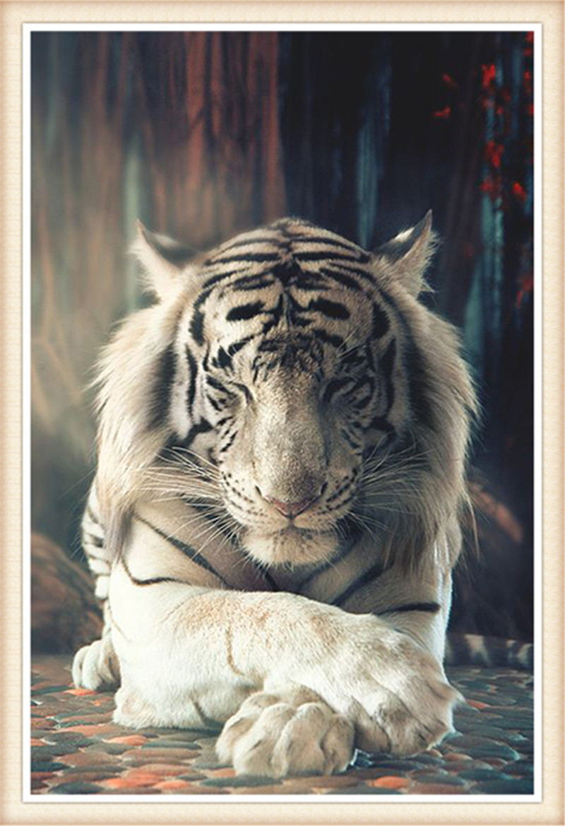 DW1926  老虎 A041748_40x60.jpg