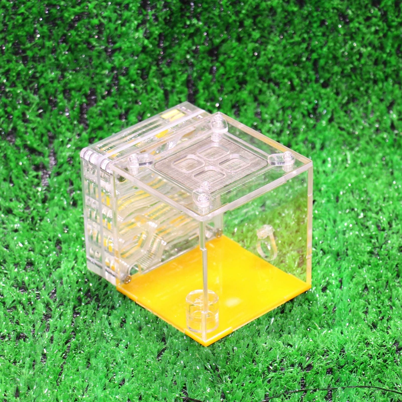 Гнездо муравей Живая племенная акриловая коробка для кормления Усадьба Гнездо Муравей Ящик для кормления Пористое гнездо муравьев