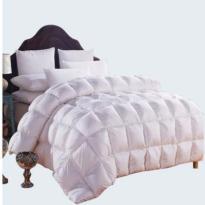 五星级酒店羽绒被70%白鸭绒四季被芯正品欧标羽绒被子可定做尺寸|ru