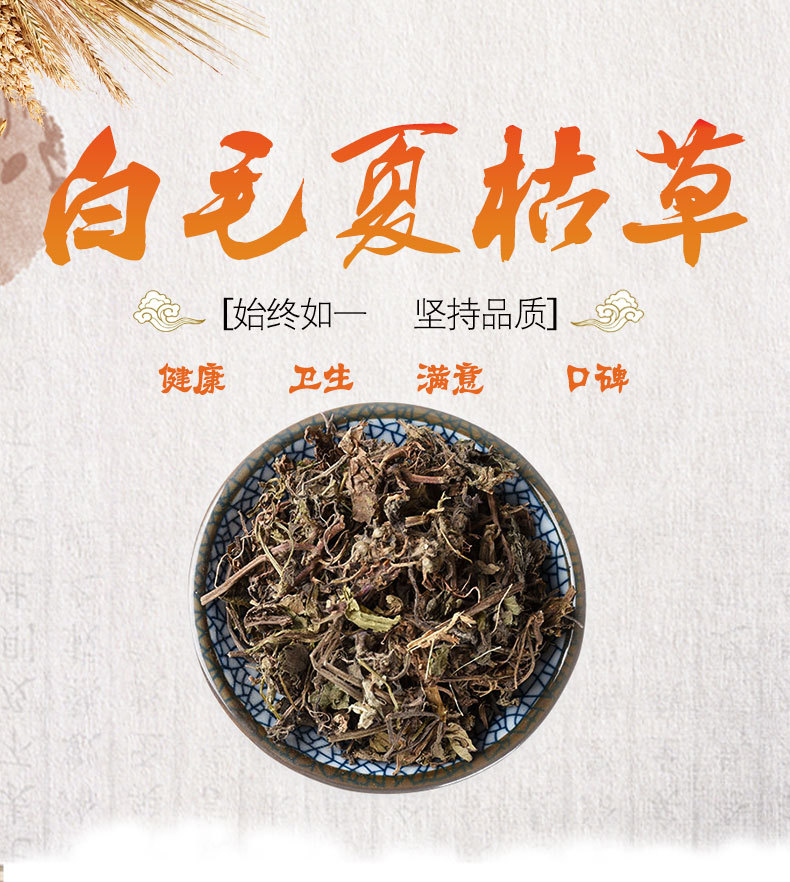 Bai Mao Xia Ku Cao (Ajuga decumbens) — Dried Whole Herb, 500g overview