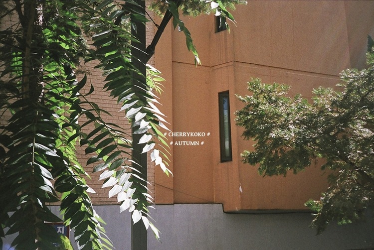 Gilet femme RUNSCH en Laine - Ref 3316427 Image 42