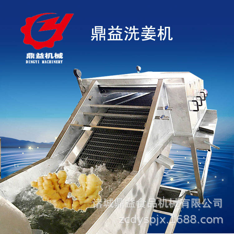 厂家供应全自动洗姜机大姜 果蔬气泡清洗机械 生姜小黄姜清洗设备