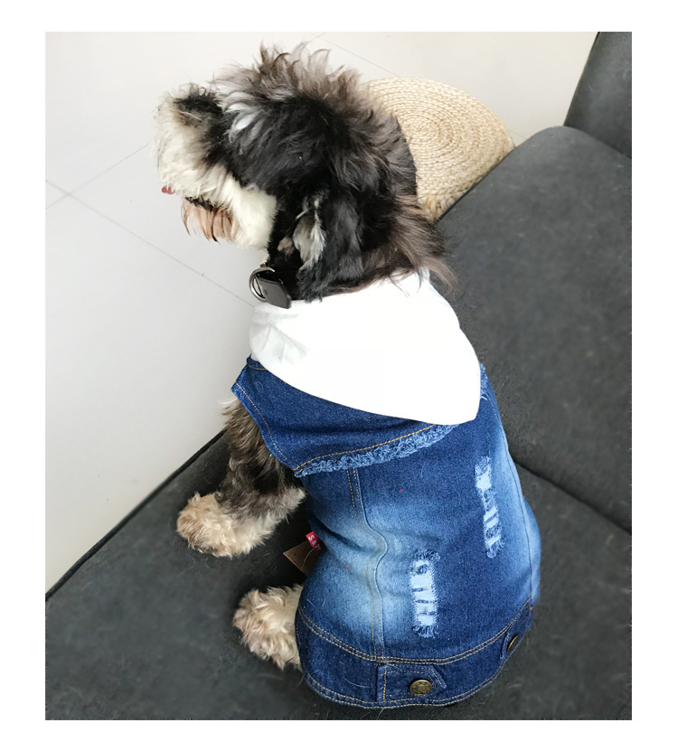 Pet Vest