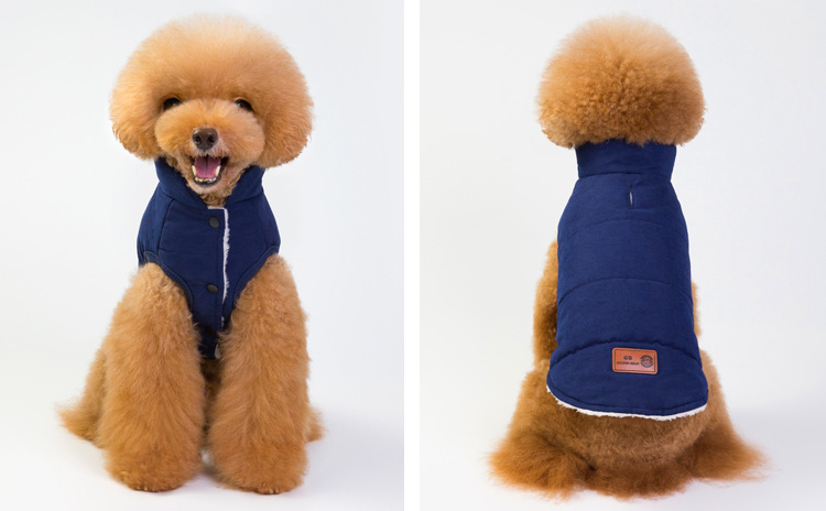 Dog Wearing Cotton Coat