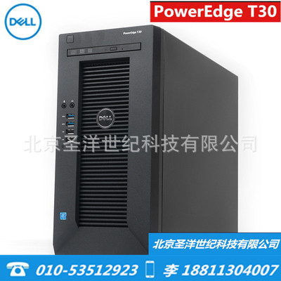 Dell/戴爾 T30服務器主機至強E3塔式小型電腦ERP文件存儲台式機