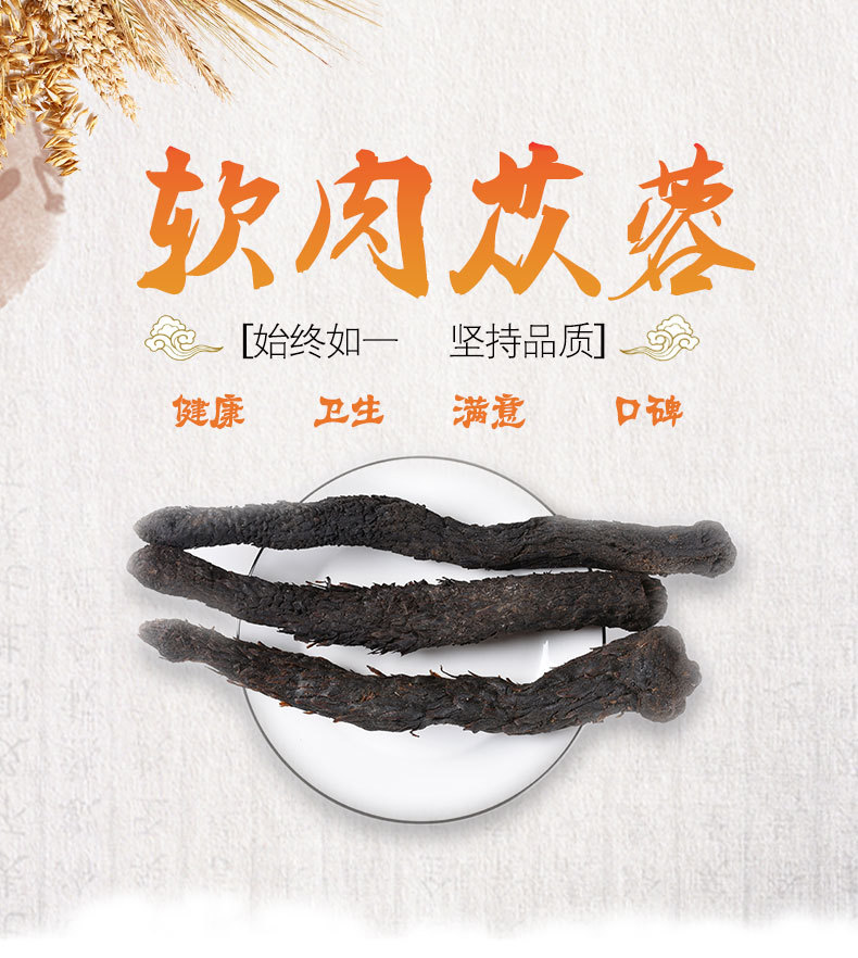 Rou Cong Rong Slices (Cistanche deserticola) — Soft Sweet Food-Herb from Inner Mongolia overview