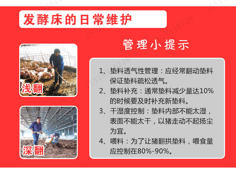 发酵床养猪垫料平时怎么维护