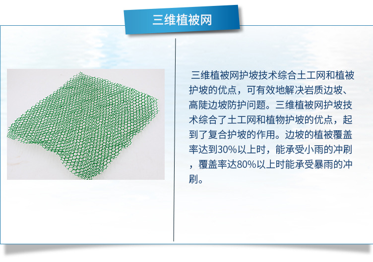 三維植被網(wǎng)_06.jpg