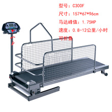 宇晟厂家直销狗狗训练动物跑步机宠物跑步机狗狗家用C300F