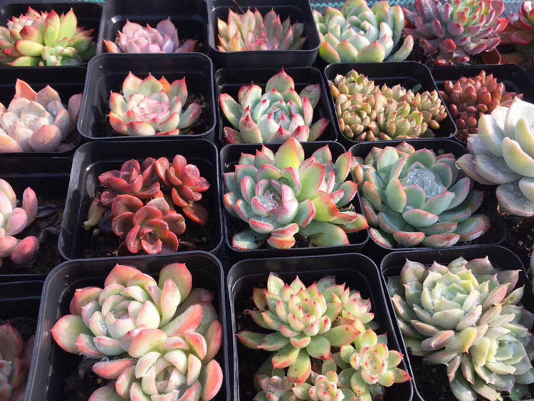 微信图片_20180115170640