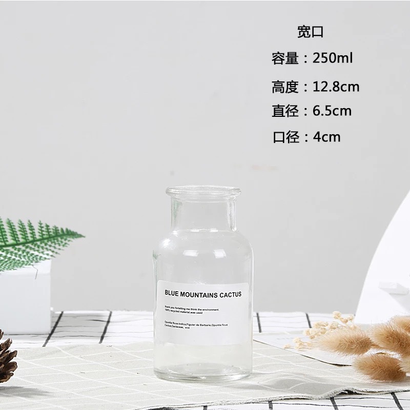 Botella de deseos luminosa botella de vidrio creativa qixi amante graduación regalo Navidad LED deriva botella estrella