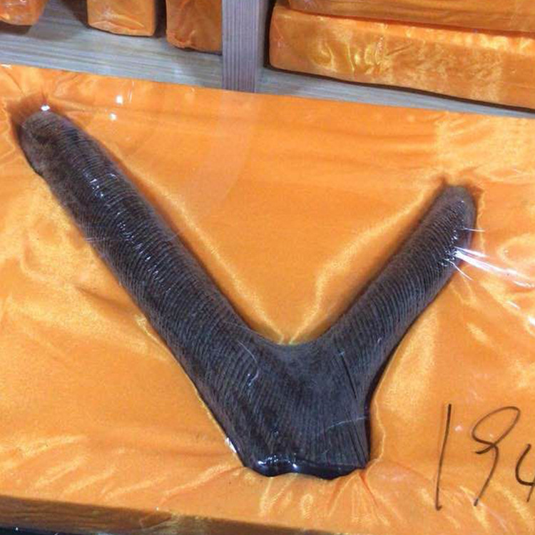 Manufactor Direct selling Northeast Specialty Pruning Velvet Antler Gifts Paojiu Tonic Antler Of large number wholesale