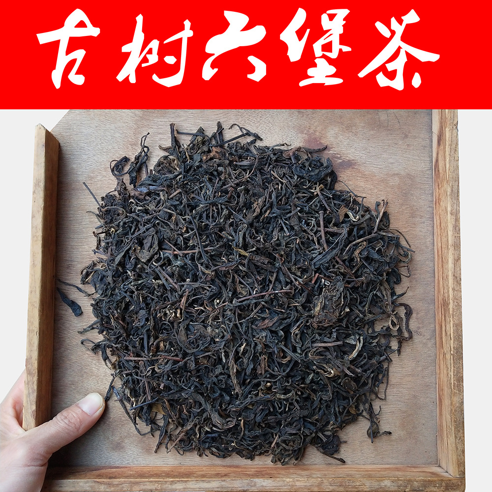 厂家直销广西梧州六堡茶 浓香型耐泡古树六堡茶 暖胃祛湿批发散茶