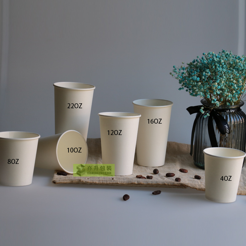 Standard paper cup sizes - Bruinsma United