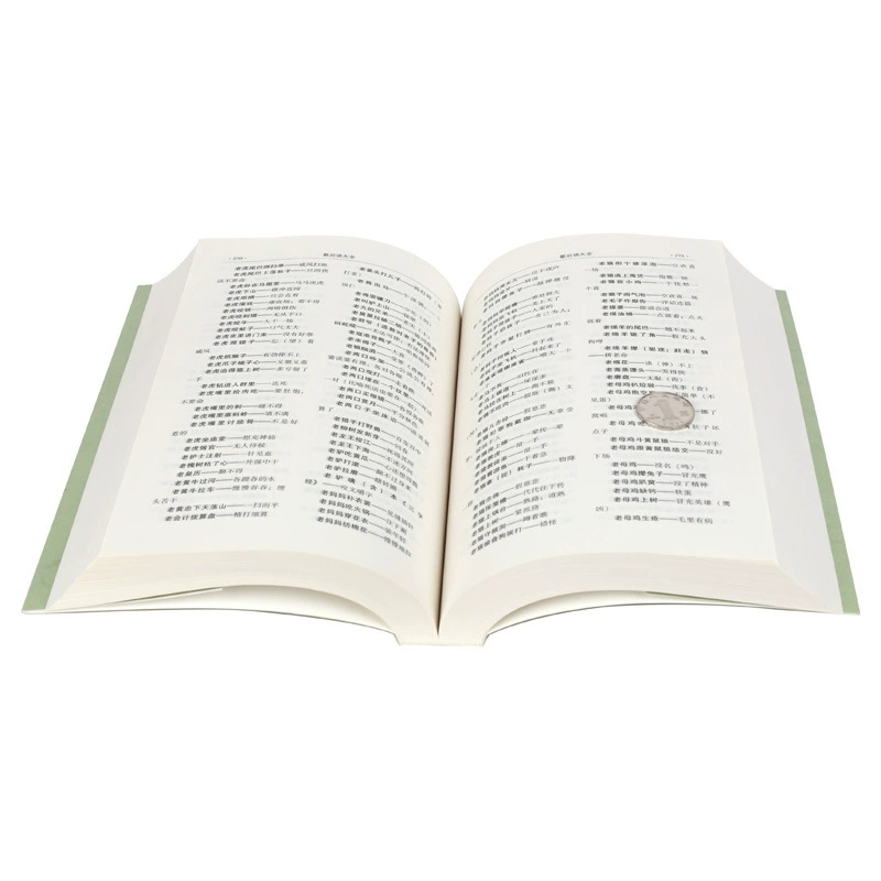 Книга «Книга Книг Книга» (Сборник) / Идиомы и «Дацюань драконов» — высказывания знаменитостей